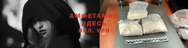прущие грибы Алзамай