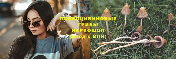 2c-b Аркадак