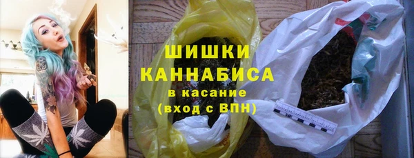 хмурый Арсеньев