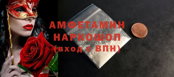 хмурый Арсеньев