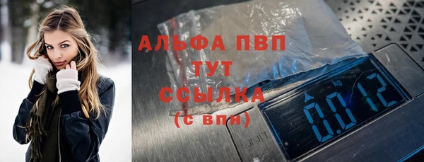 хмурый Арсеньев
