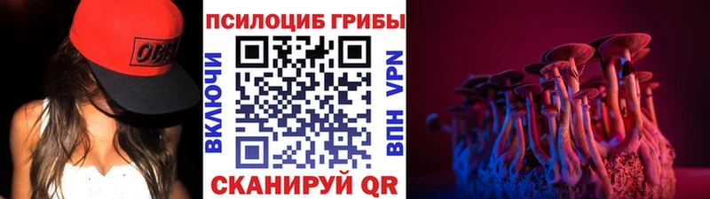 Галлюциногенные грибы Psilocybine cubensis  Лукоянов 